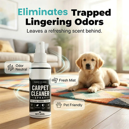 ✨Deep Cleaning Carpet Cleaner Spray (With Sponge）