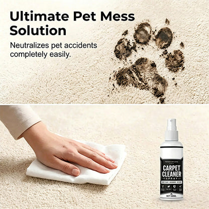 ✨Deep Cleaning Carpet Cleaner Spray (With Sponge）