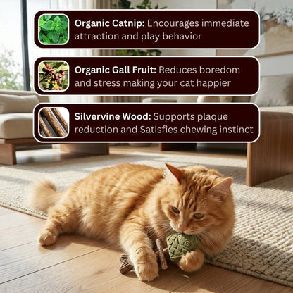 Catnip & Silvervine Chew.